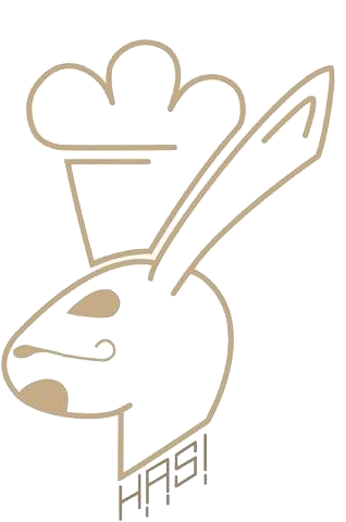 haesi logo